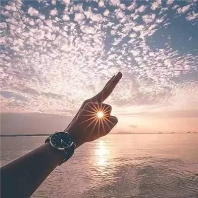 加拿大pc软件平台app下载