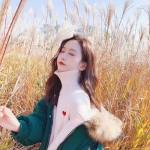 火狐官网手机app下载